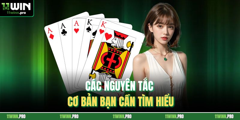 Các nguyên tắc cơ bản bạn cần tìm hiểu