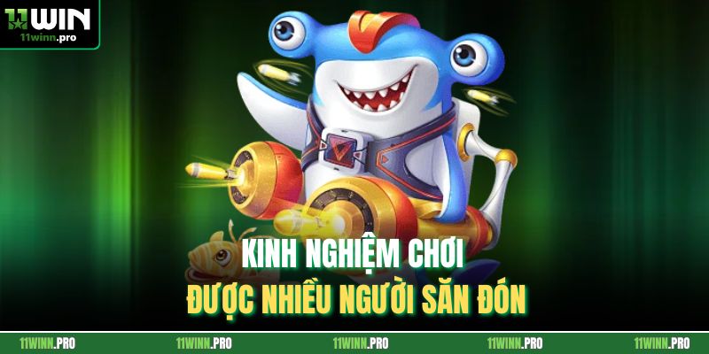 Kinh nghiệm chơi được nhiều người săn đón