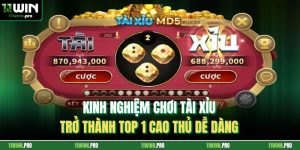 Kinh Nghiệm Chơi Tài Xỉu - Trở Thành Top 1 Cao Thủ Dễ Dàng