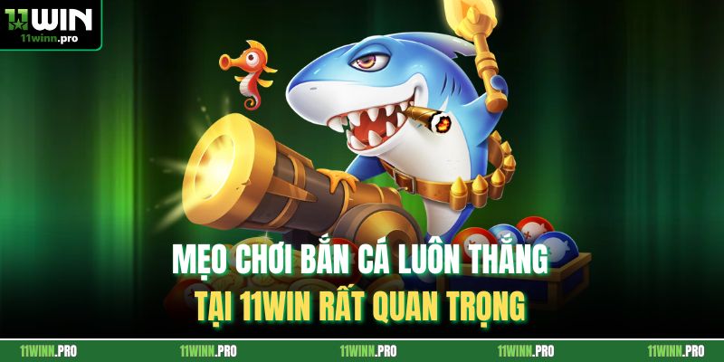 Mẹo chơi bắn cá luôn thắng tại 11Win rất quan trọng