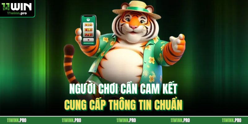 Người chơi cần cam kết cung cấp thông tin chuẩn