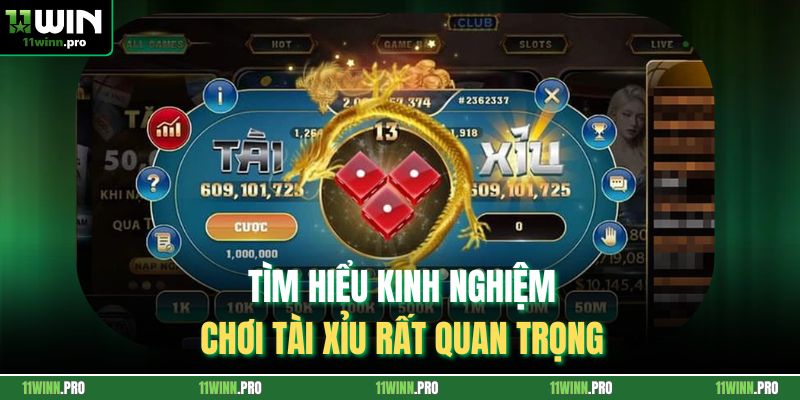 Tìm hiểu kinh nghiệm chơi tài xỉu rất quan trọng 