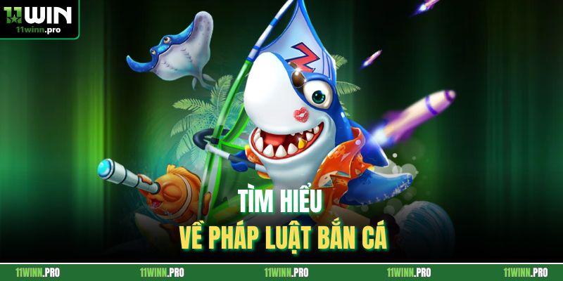 Tìm hiểu về pháp luật bắn cá
