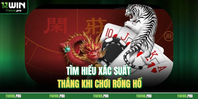 Tìm hiểu xác suất thắng khi chơi Rồng Hổ
